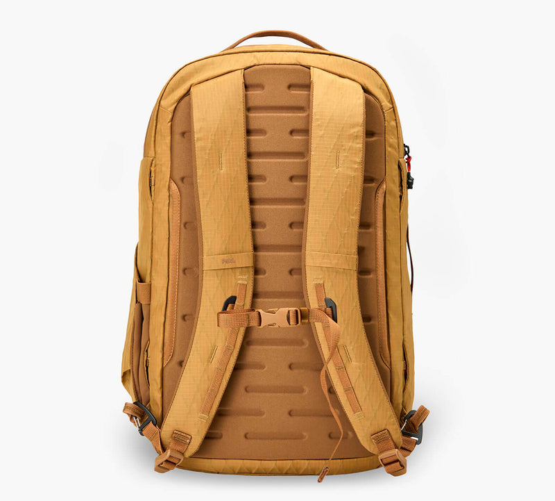 Rear view of a mustard-colored backpack with padded back panel, adjustable shoulder straps, sternum strap, and load-lifter straps.
