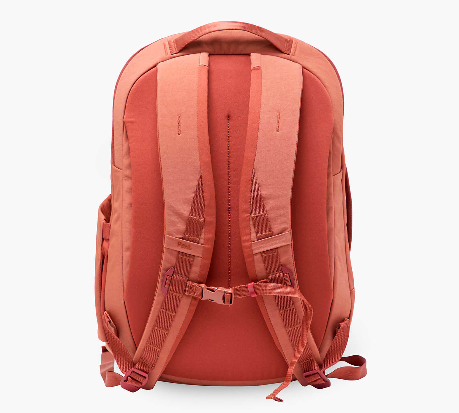 Back view of coral backpack with padded shoulder straps, sternum strap, and top carry handle.