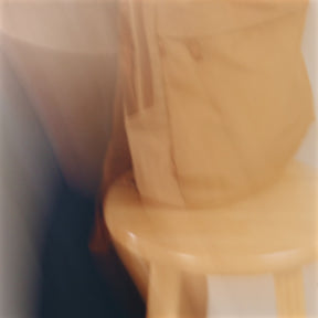 MODE Convertible Bag 14L